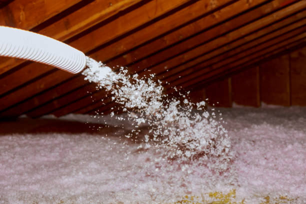 Best Basement Insulation  in Barnesville, GA